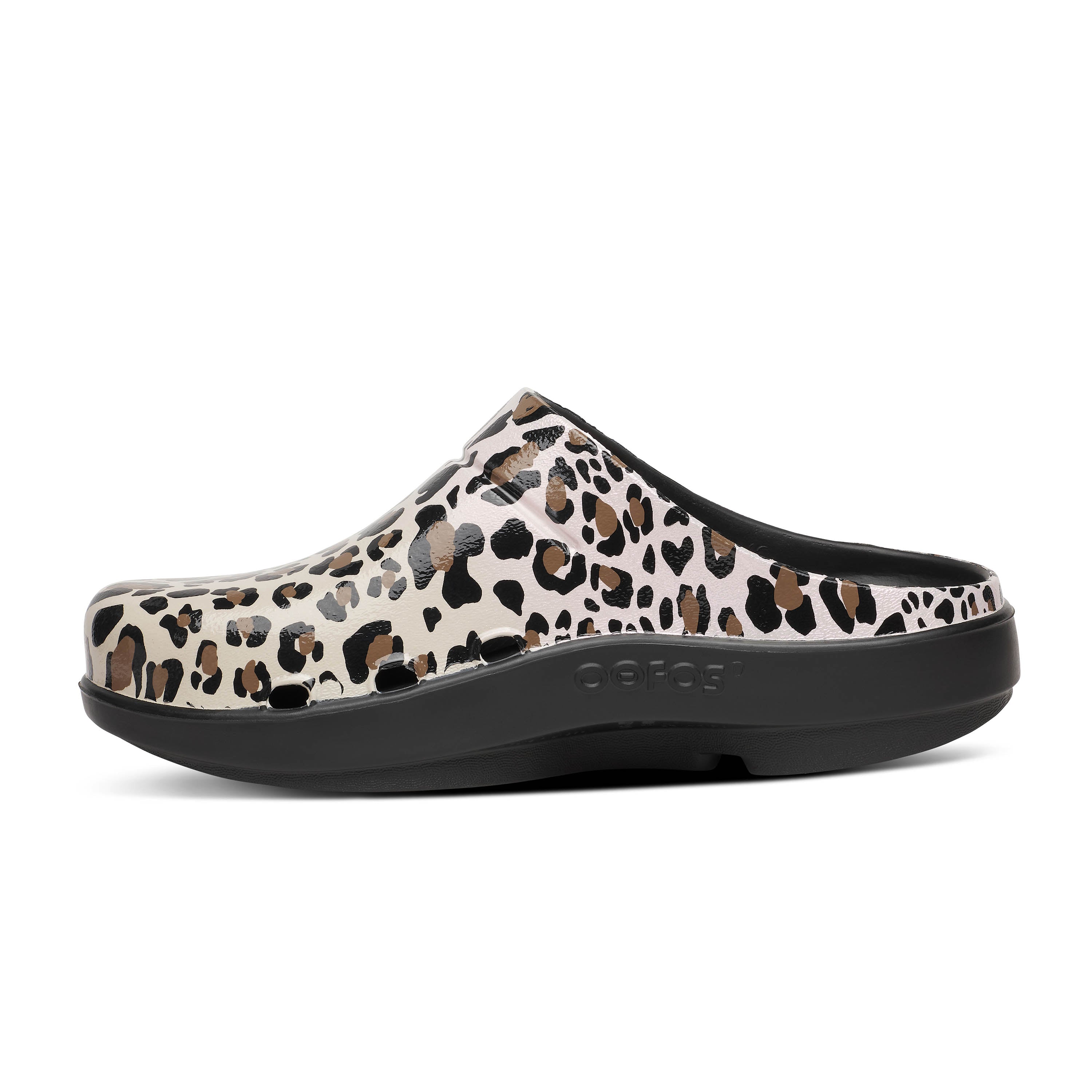 Cloog LIMITED EDITION Leopard CLOSEOUTS