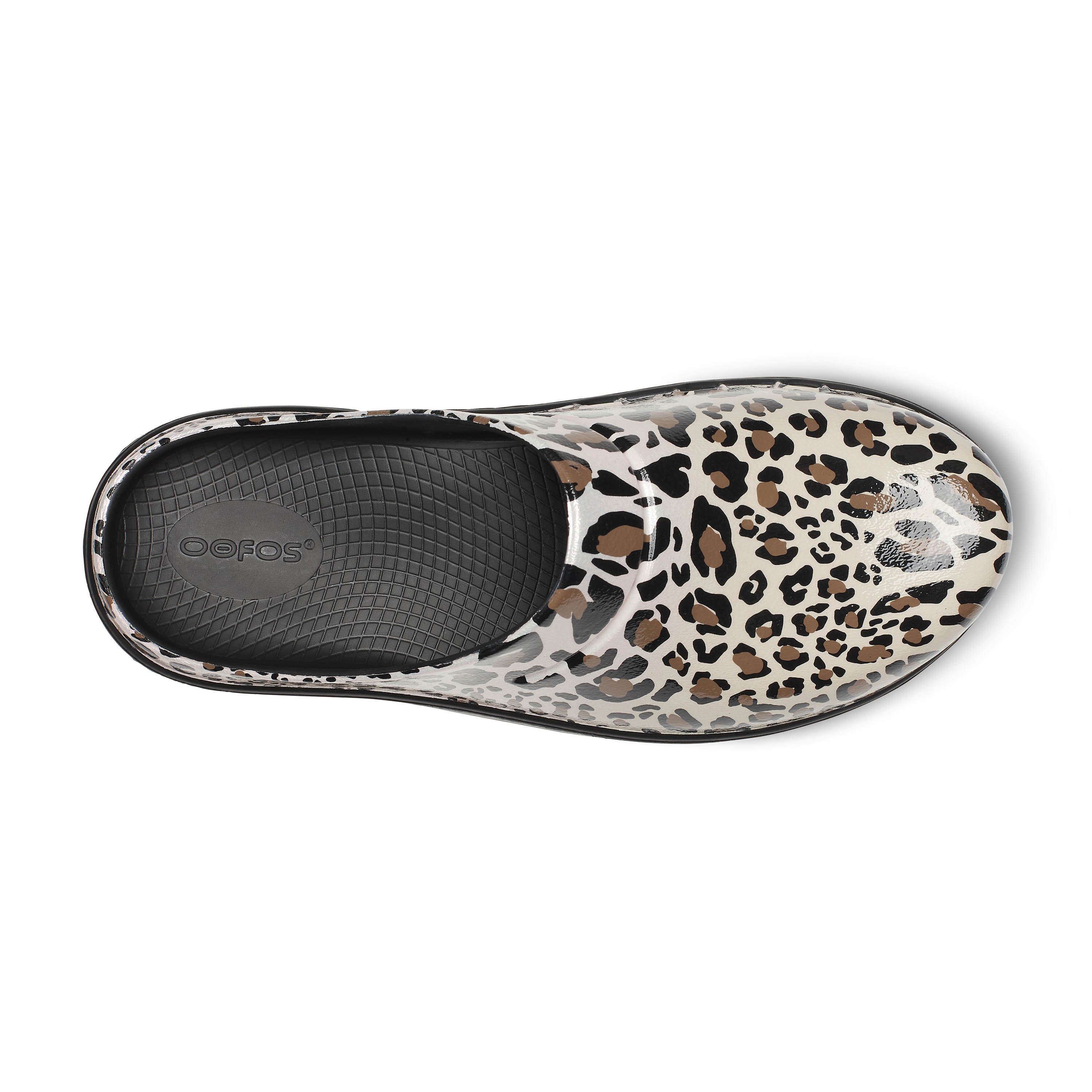Cloog LIMITED EDITION Leopard CLOSEOUTS