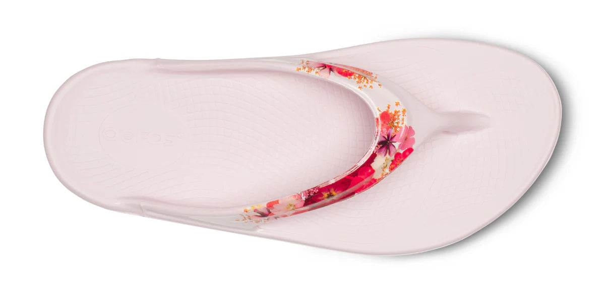 Women's OOlala Luxe Toe Post Sandal in Primrose Blossom