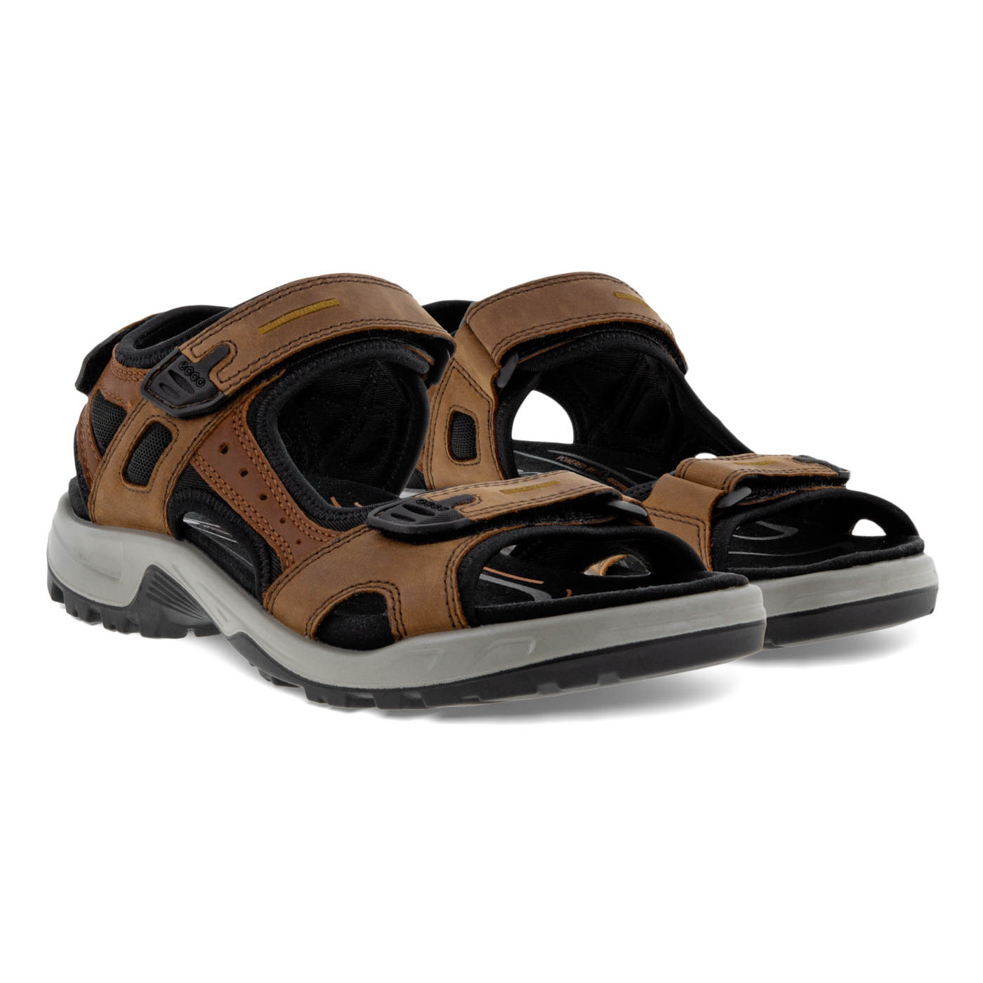 Men's Yucutan Rugged Sandal in Espresso/Cocoa Brown/Black