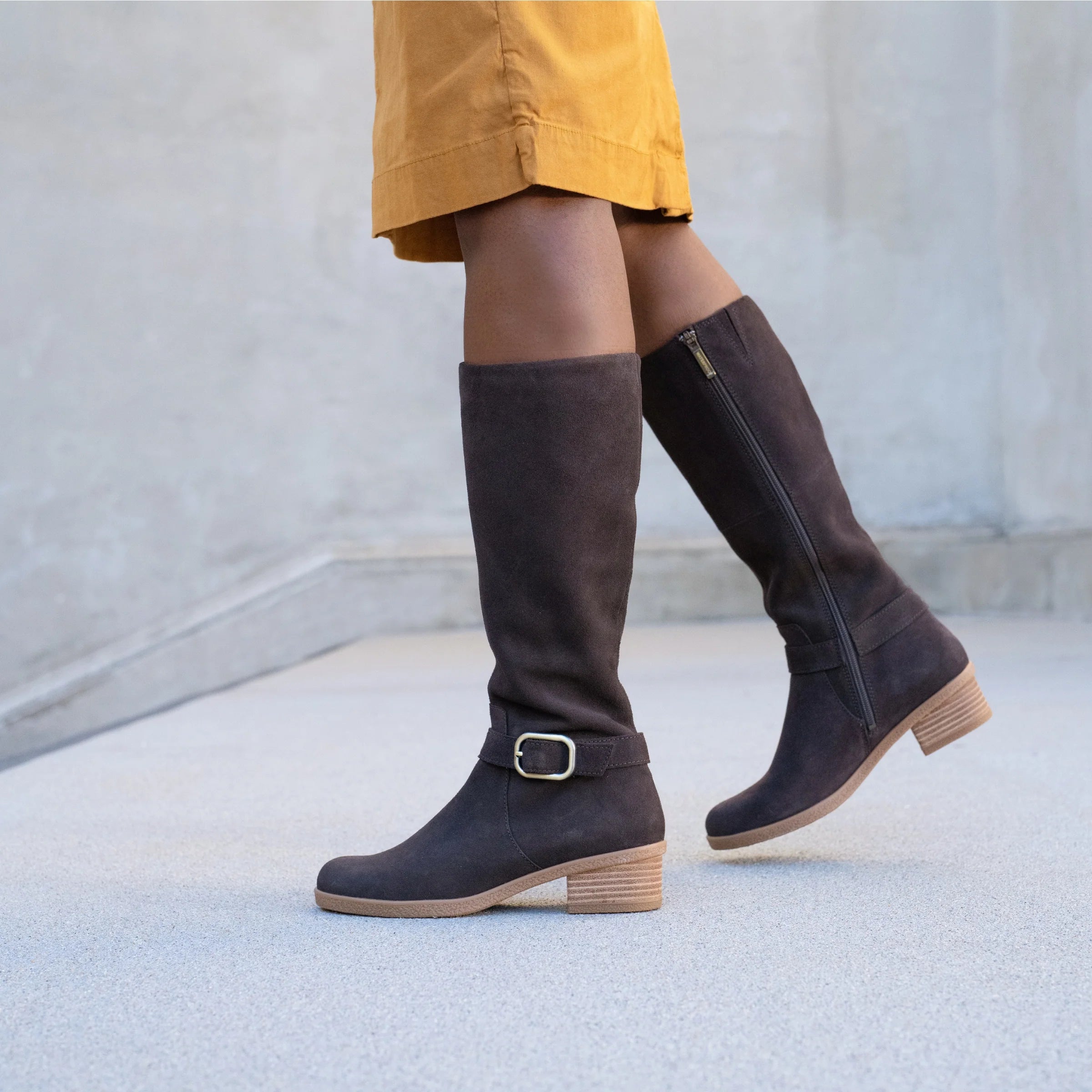 Dalinda Waterproof Suede Tall Boot in Chocolate