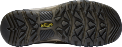 Women's Targhee IV Waterproof Hiking Boot in Brindle/Nostalgia Rose