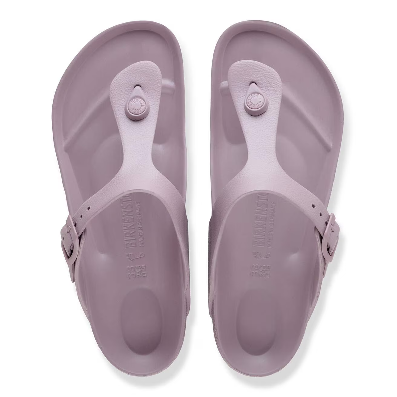 Gizeh EVA Toe Post Sandal in Faded Purple