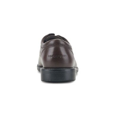 SL2 Plain Toe Oxford in Dark Brown