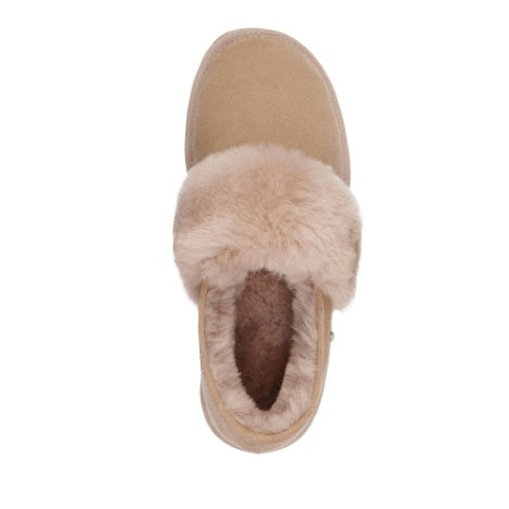 Daydream Cali Slipper in Camel CLOSEOUTS